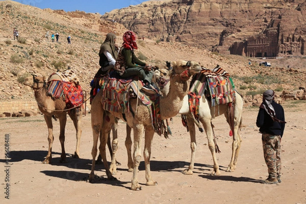 Fototapeta Kamele in der Wüste