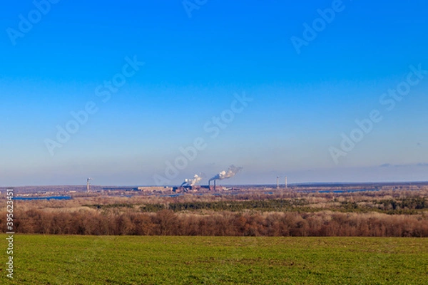 Fototapeta View of green wheat field and smoke pipes of factory at spring