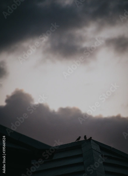 Obraz storm clouds timelapse