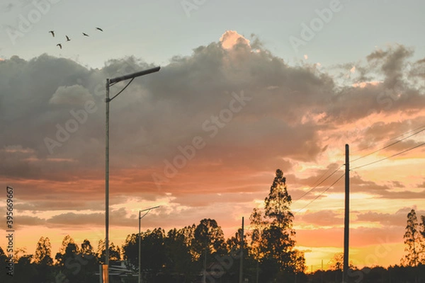 Obraz sunset in the countryside