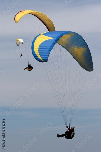 Obraz Paragliders