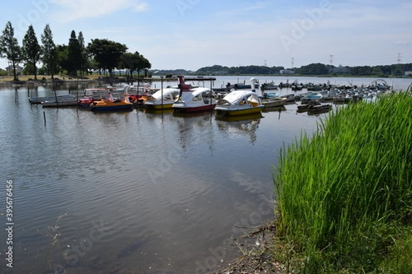 Obraz 手賀沼（てがぬま）／ 千葉県北部にある手賀沼は、柏市、我孫子市、白井市、印西市にまたがる利根川水系の湖沼です。北の水域を手賀沼（上沼）、南の水域を下手賀沼（下沼）と言われています。