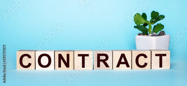 Fototapeta The word CONTRACT is written on wooden cubes near a flower in a pot on a light blue background