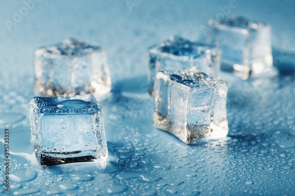Fototapeta Close-up ice cubes with melt water drops scattered on a blue background.