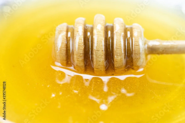 Fototapeta Nabierak do miodu