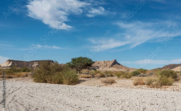 Obraz a variety of unique geological landforms can be seen beyond the nekarot stream bed just outside the south rim of the makhtesh ramon crater in israel