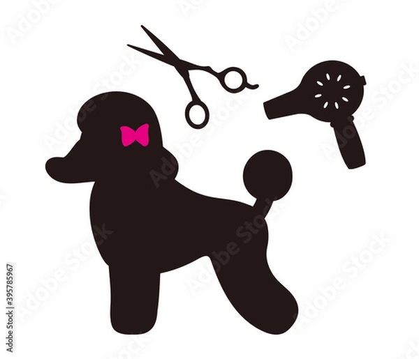Obraz 犬のトリミング　ハサミとドライヤーとプードルのシルエット