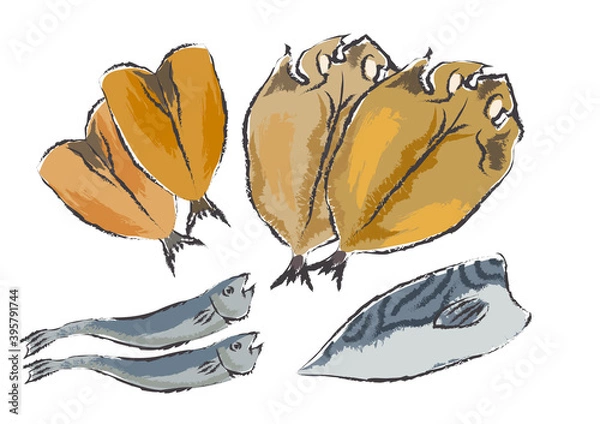 Obraz いろんな干物のイラストセット