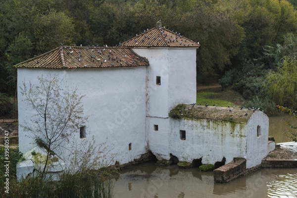 Obraz Water mill