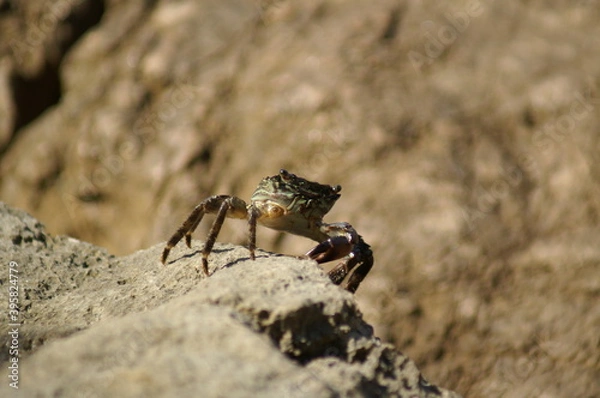 Obraz KONICA MINOLTA DIGITAL CAMERA