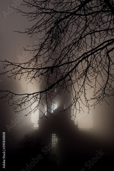 Obraz Schlossturm im gespenstischen Nebel