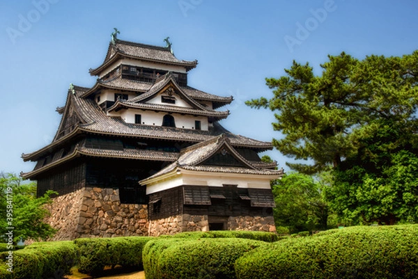 Fototapeta 松江城と庭園