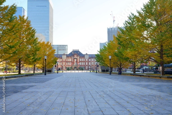 Fototapeta 東京駅丸の内オフィスビル紅葉