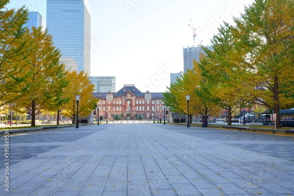 Fototapeta 東京駅丸の内オフィスビル紅葉