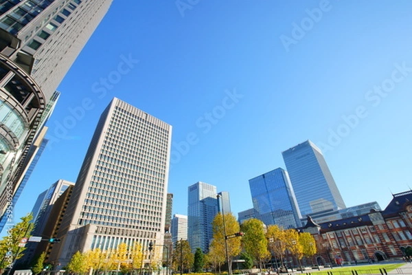 Fototapeta 東京駅丸の内オフィスビル紅葉
