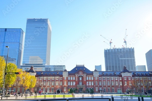 Fototapeta 東京駅丸の内オフィスビル紅葉