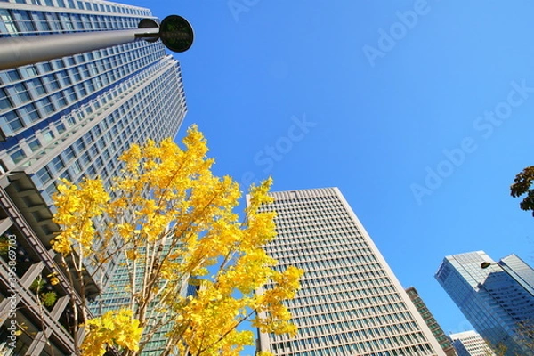 Fototapeta 東京駅丸の内オフィスビル紅葉