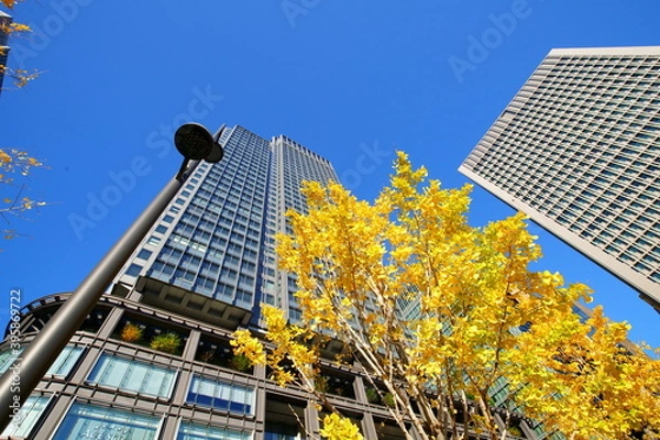 Fototapeta 東京駅丸の内オフィスビル紅葉