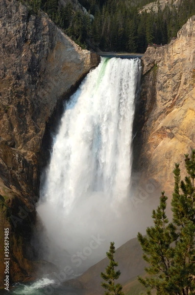 Obraz イエローストーン滝