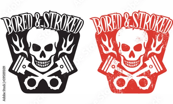 Obraz Skull and Pistons