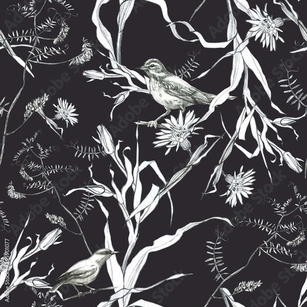 Obraz Illustration, pencil. A pattern of leaves and branches of plants, birds. Freehand drawing of flowers on a dark gray background.