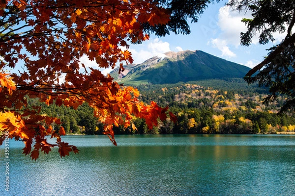 Fototapeta 秋のオンネトー（北海道・足寄町） 　湖、紅葉（赤）、雌阿寒岳