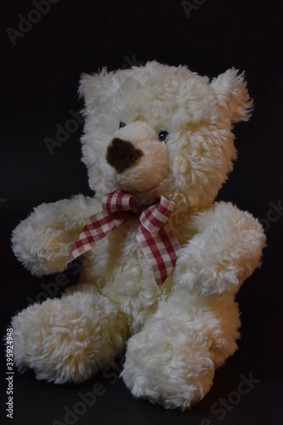 Obraz teddy bear
