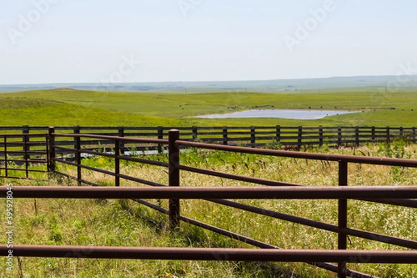 Obraz Kansas Bazaar cattle pens in Flint Hills