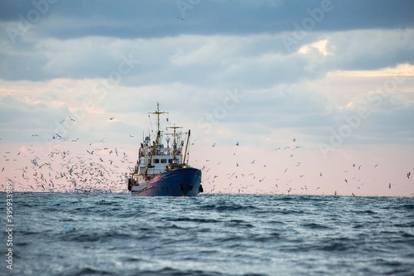 Fototapeta Return of the fishing seiner after the catch