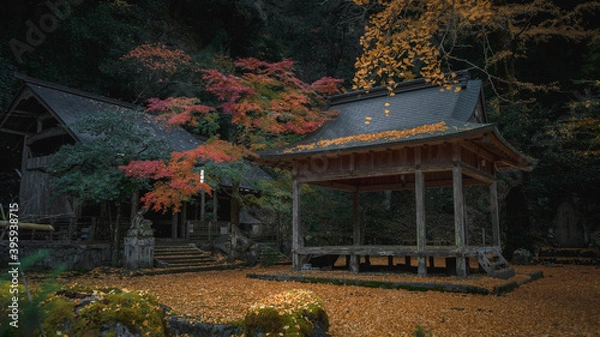Obraz japanese garden in autumn