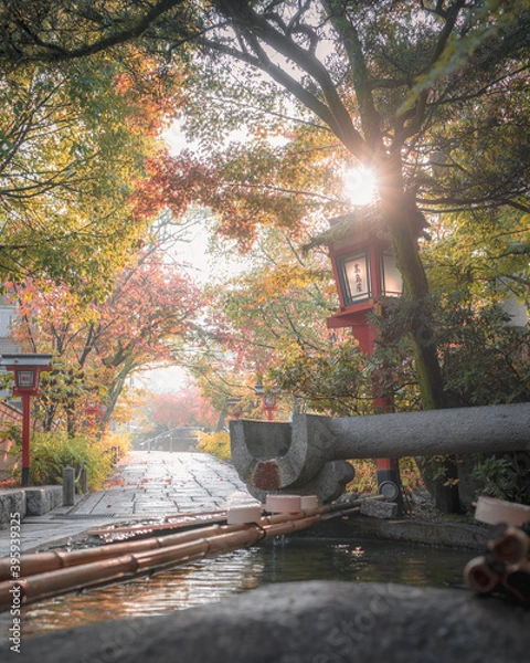 Obraz autumn in Japanese shrine