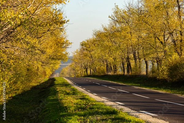 Fototapeta Beautiful road in the beautiful trees. A country road in the fall. Autumn in the park. Empty race track.