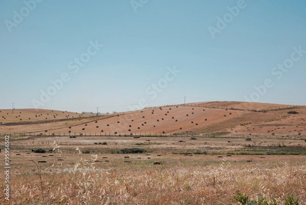 Obraz landscape in the desert