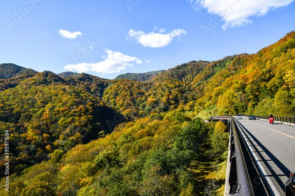 Fototapeta 秋の知床　知床横断道路と沿道の紅葉（北海道・羅臼町）