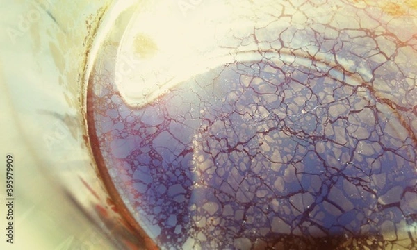 Obraz Herbaciana powłoka