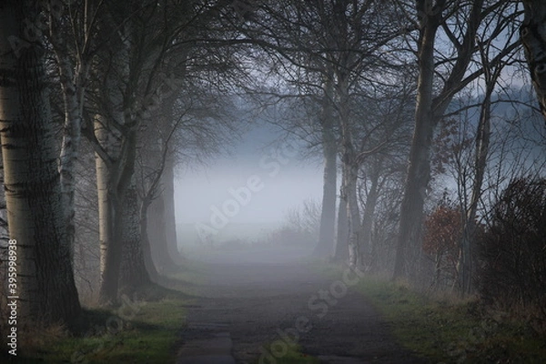 Obraz Weg im Nebel