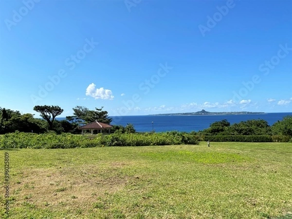 Fototapeta 海と芝生の風景
