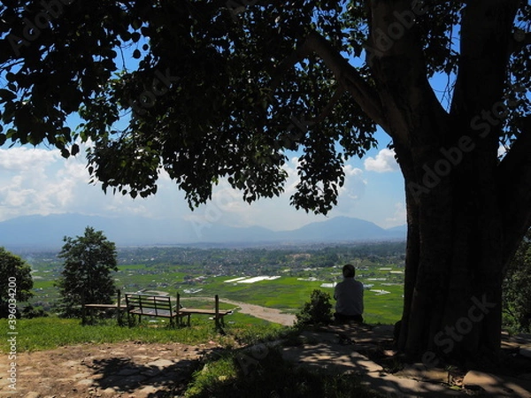 Obraz OLYMPUS DIGITAL CAMERA