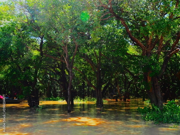 Obraz OLYMPUS DIGITAL CAMERA