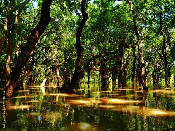 Obraz OLYMPUS DIGITAL CAMERA