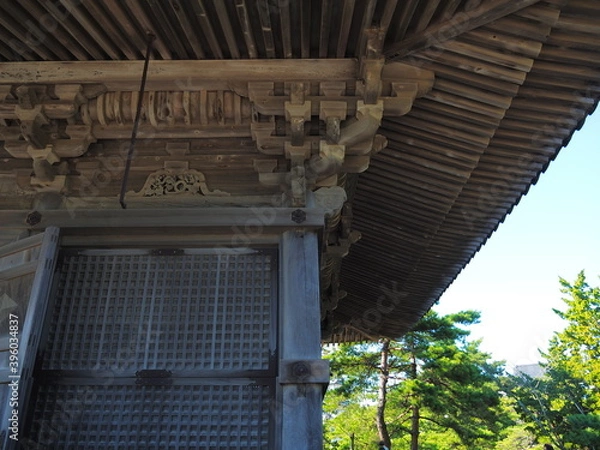 Obraz OLYMPUS DIGITAL CAMERA