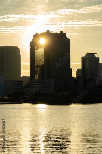 Fototapeta 隙間の朝日
