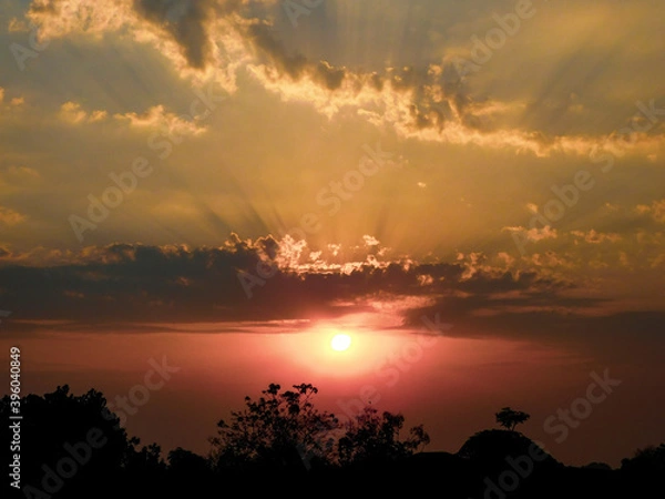 Obraz sunset over the trees