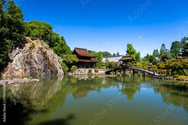 Fototapeta 岐阜県多治見市 永保寺 庭園