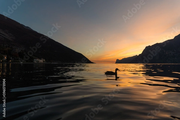 Obraz sunset Lago di Garda