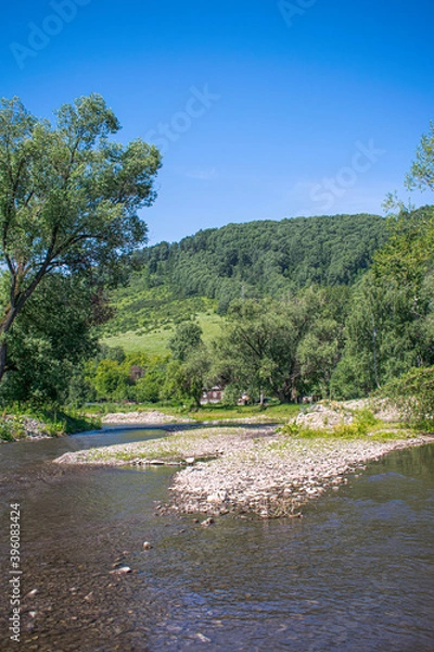 Obraz forest mountains and river, mountain landscape