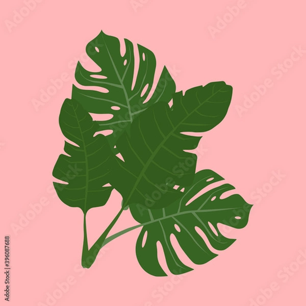 Fototapeta Set of exotic leaves
