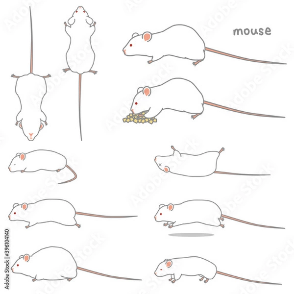 Fototapeta マウスのベクターイラストセット（食事、あおり、ふかん、うつぶせ、走る、太る、やせる）