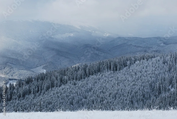 Obraz Snow mountain forest