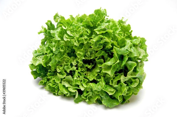 Fototapeta Lettuce